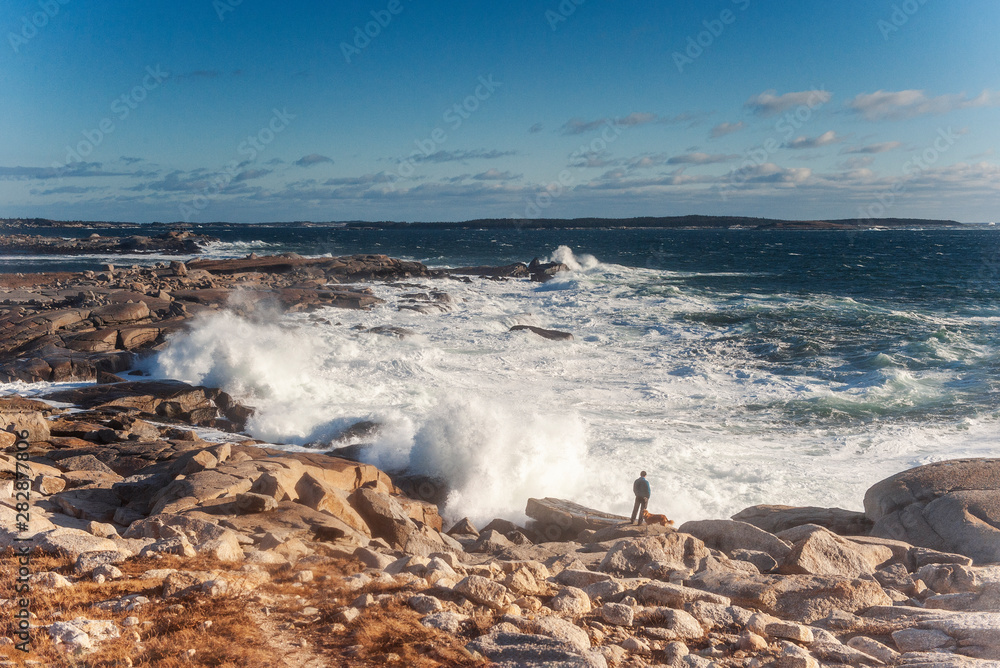 Volatile Ocean Volatile Ocean