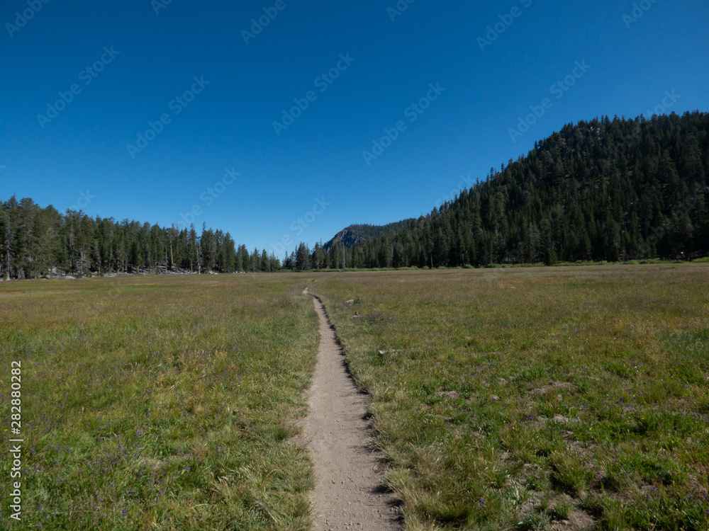 Sierra Nevada Meadow Trail Near Round Lake