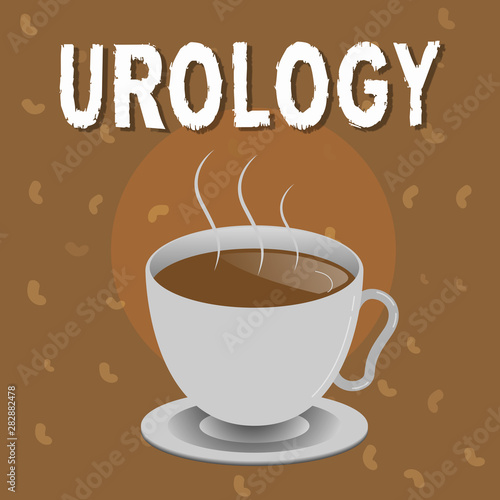Conceptual hand writing showing Urology. Business photo text Medicine branch related with urinary system function and disorders.