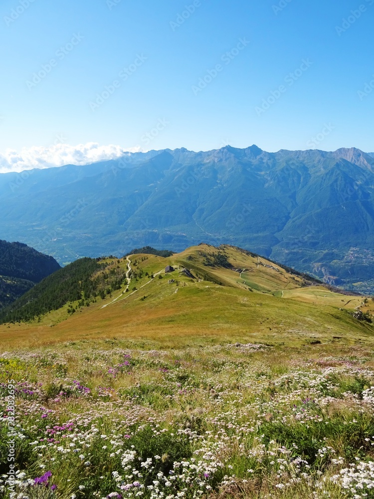 Nature, meadows and peaks that characterize the landscape of the Italian Alps in Val di Susa, near the town of 