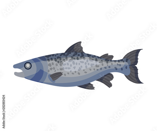 Whole fish. Vector illustration on white background.