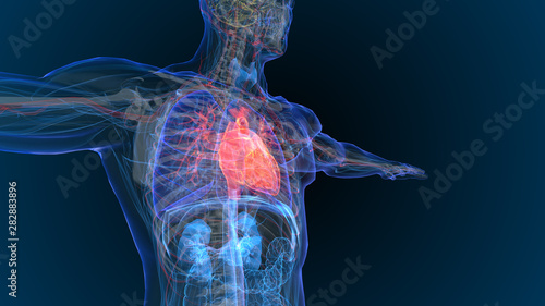 Φωτογραφία 3d rendered illustration of  heart attack and heart disease 3D illustration