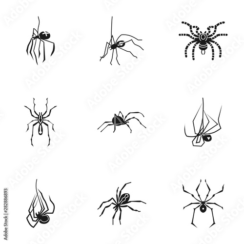 Danger spider icon set. Simple set of 9 danger spider vector icons for web design isolated on white background © nsit0108