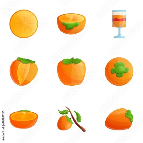 Fototapeta Naklejka Na Ścianę i Meble -  Tasty persimmon icon set. Cartoon set of 9 tasty persimmon vector icons for web design isolated on white background