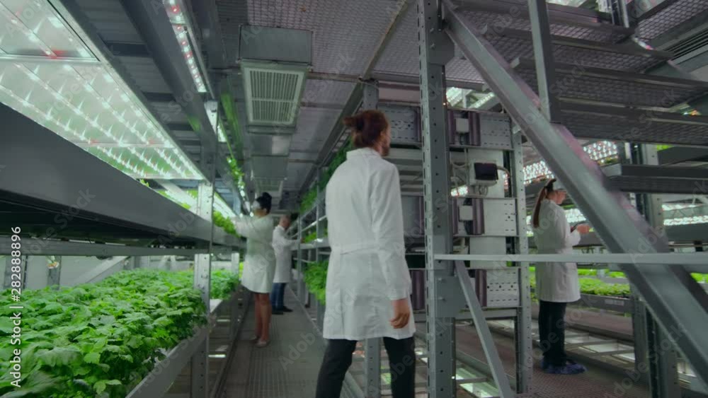 the camera moves along the corridor, the vertical firm follows the scientist from the back, a group of scientists agronomists investigate, touch hands and discuss the results of the grown plants. the camera moves along the corridor, the vertical firm follows the scientist from the back, a group of scientists agronomists investigate, touch hands and discuss the results of the grown plants.