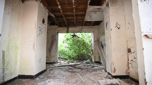 Abandoned Doorway with Plants Growing Inside
