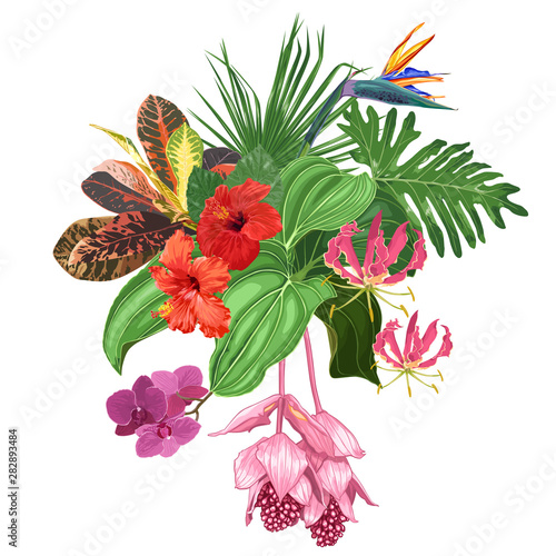Large bouquet of tropical flowers and leaves. Hibiscus, orchids, strelitzia, medinilla, palm trees. 