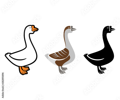 White goose, gray goose and goose silhouette, logo design. Bird, animal, pet and poultry, vector design and illustration
