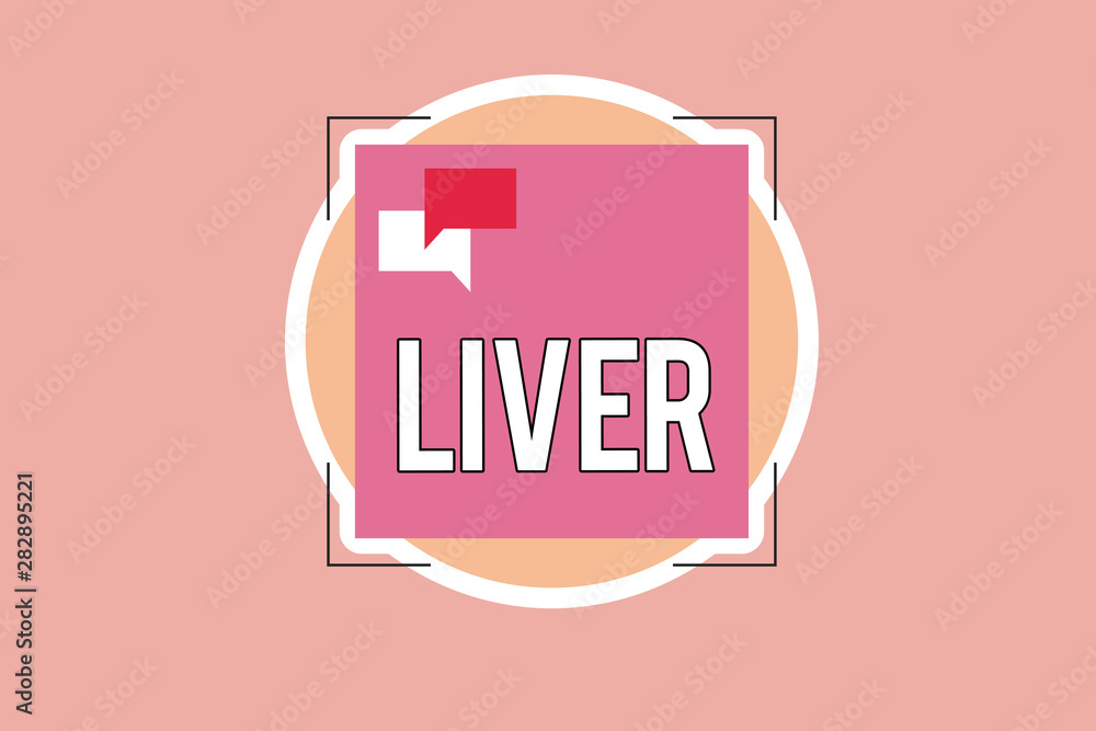 Writing note showing Liver. Business photo showcasing Large lobed glandular organ in the abdomen of vertebrates Produce bile. Writing note showing Liver. Business photo showcasing Large lobed glandular organ in the abdomen of vertebrates Produce bile.