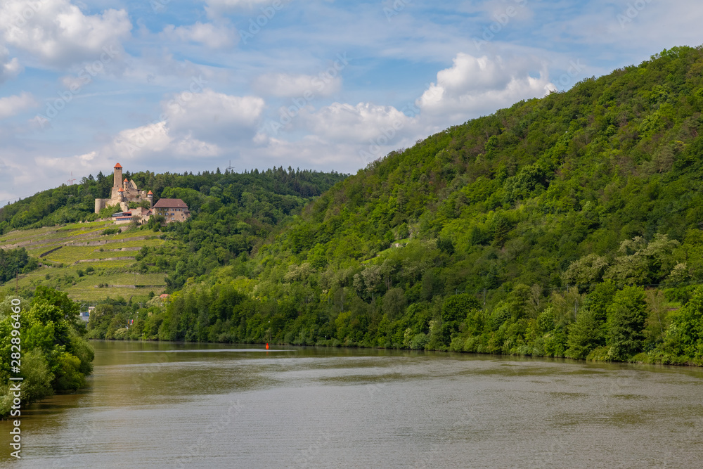 Obraz premium yellow blooming vineyards and a castle at the river Neckar in Germany