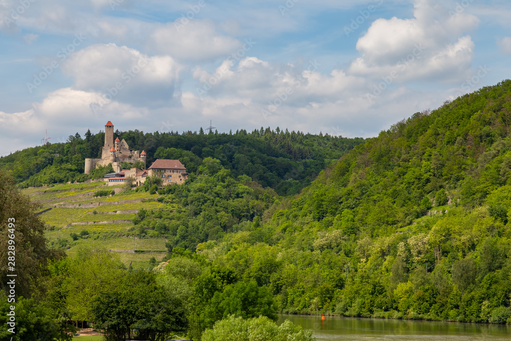 yellow blooming vineyards and a castle at the river Neckar in Germany