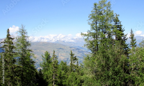 Paysage de montagne en été, avec végétation au premier plan et massif alpin et ciel bleu.