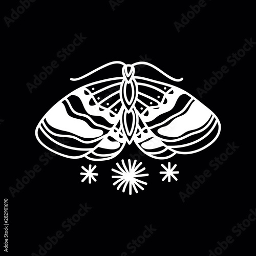 moth doodle traditional tattoo illustration