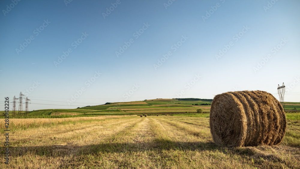 Hay Bale in the middle of a field,agriculture time