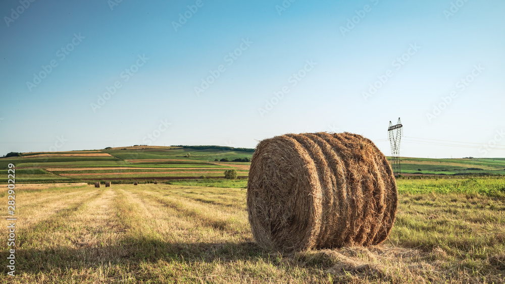 Hay Bale in the middle of a field,agriculture time