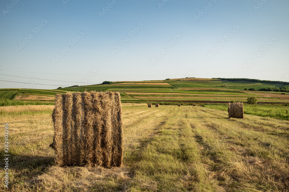 Hay Bale in the middle of a field,agriculture time Hay Bale in the middle of a field,agriculture time