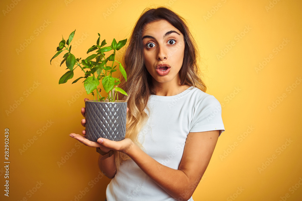 Young beautiful woman holding basil pot over yellow isolated background scared in shock with a surprise face, afraid and excited with fear expression Young beautiful woman holding basil pot over yellow isolated background scared in shock with a surprise face, afraid and excited with fear expression