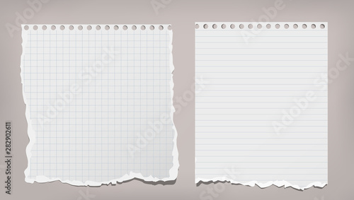 White ripped, lined and squared notebook, copybook paper sheets are on grey background. Vector illustration