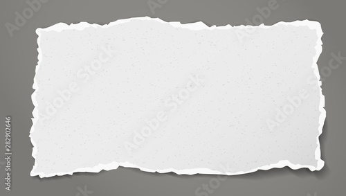 Piece of torn white horizontal grainy paper strip with soft shadow is on dark grey background. Vector illustration