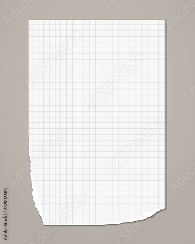 White ripped squared notebook, copybook paper sheet are on grey background. Vector illustration