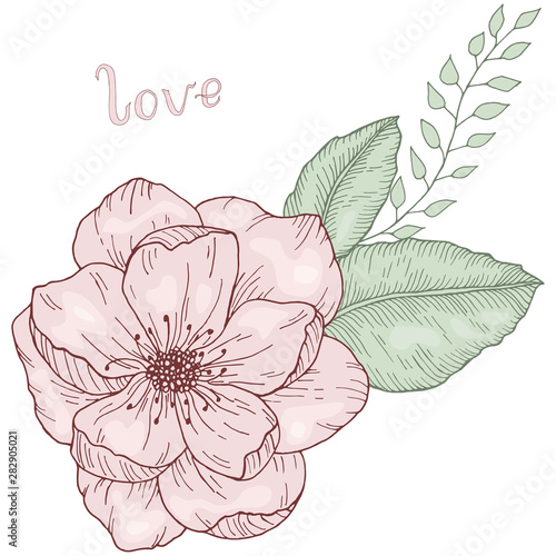 Hand drawn floral bouquet with wild rose flower and leaves colored with lettering love vector illustration