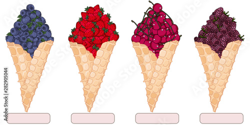 hand drawn bilberries blueberries with leaves strawberries raspberries and cherry in cone with pricing vector illustration © Елена Колесникова