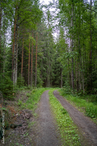 Finnish gravel road