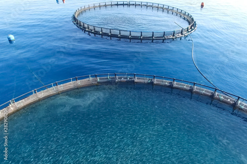 Fish farm in the sea, fenced with round net.
