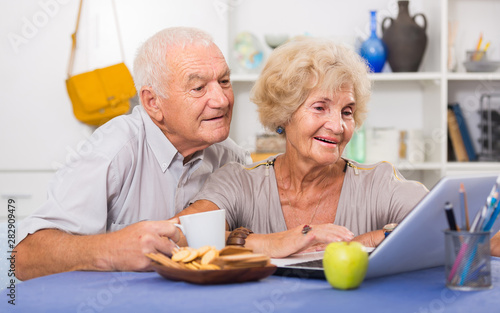 Smiling senior couple surfing net with laptop