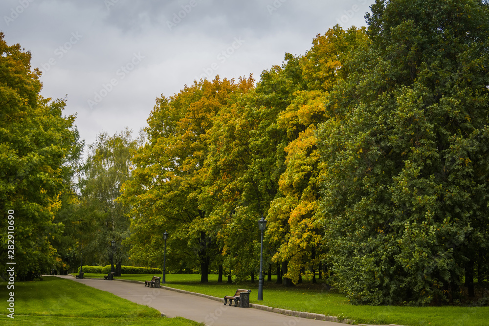 Trees in Autumn city park