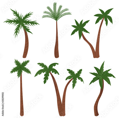 Palm trees vector illustration.
