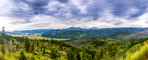 Panorama of Mountain Pass and Forest