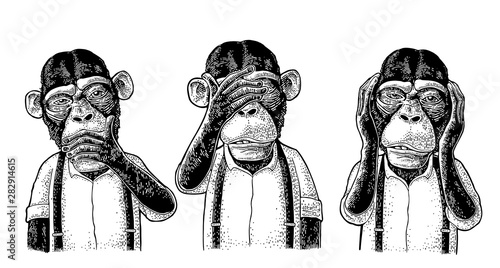 Three wise monkeys. Not see, not hear, not speak. Vintage engraving