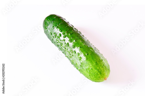 One wet fresh green cucumber isolated on white background
