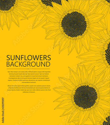 Sunflowers text card