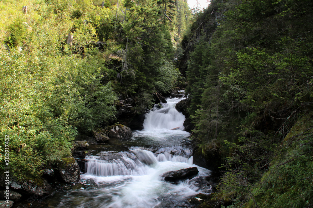 Der Weg des Wassers durch das dichte Grün Der Weg des Wassers durch das dichte Grün