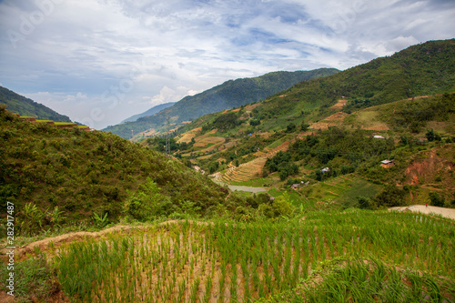 Rice paddies in the mountains near Sapa village, Northern Vietnam