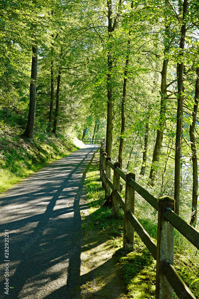 Lüdenscheid Fürwigge Spazierweg im Grünen Lüdenscheid Fürwigge Spazierweg im Grünen