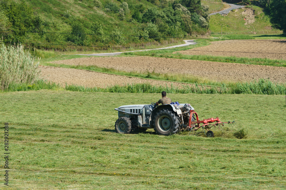 Fototapeta premium Drying grass, farmer and tractor.
