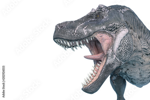 tyrannosaurus rex with toungue out © DM7