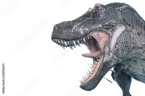 tyrannosaurus rex in anger and screaming loudly