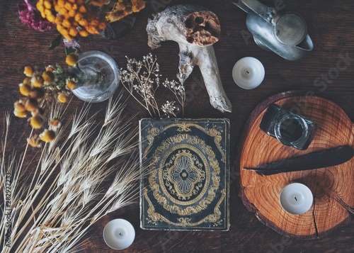 Flat lay of witch's altar space with a grimoire (vintage book from 1837) and other various items - dried flowers nature elements, candles, ink bottle with black feather next to it on dark wooden table