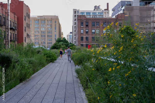 Fototapeta Naklejka Na Ścianę i Meble -  View of the High Line in Manhattan Summer
