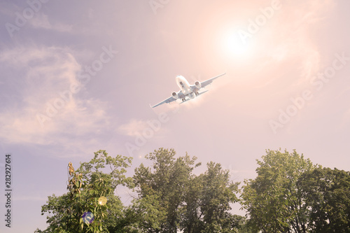 Airliner in the sky with clouds over the trees. Sunset.