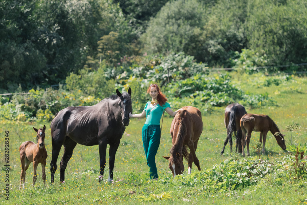 Young attractive caucasian girl on a summer pasture embraces mares and foals Young attractive caucasian girl on a summer pasture embraces mares and foals