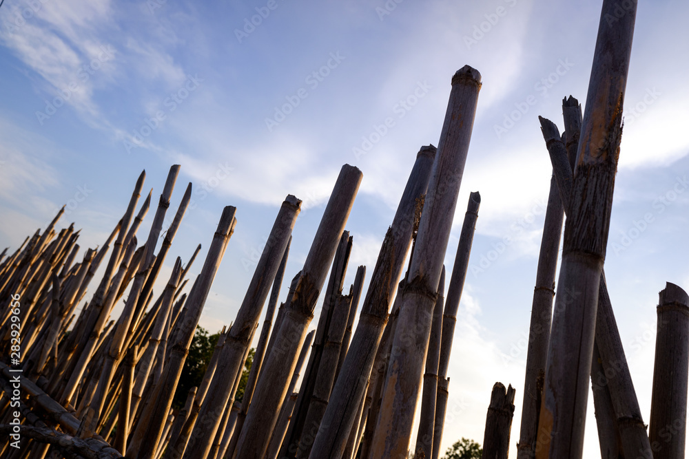 Fencing created using the dry reeds and environmental resources available. Fencing created using the dry reeds and environmental resources available.