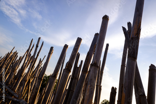 Fencing created using the dry reeds and environmental resources available. © Joaquin Corbalan