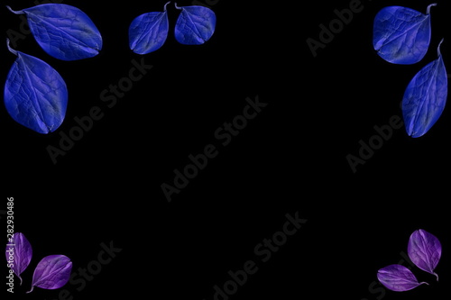 Colorful leaves on a black table. Leaves on a dark background.