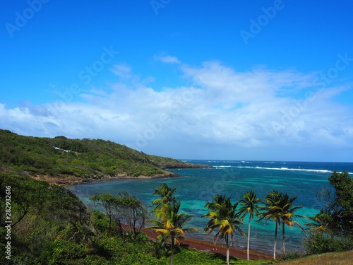island in the sea blue water paradise place Martinique and palm trees