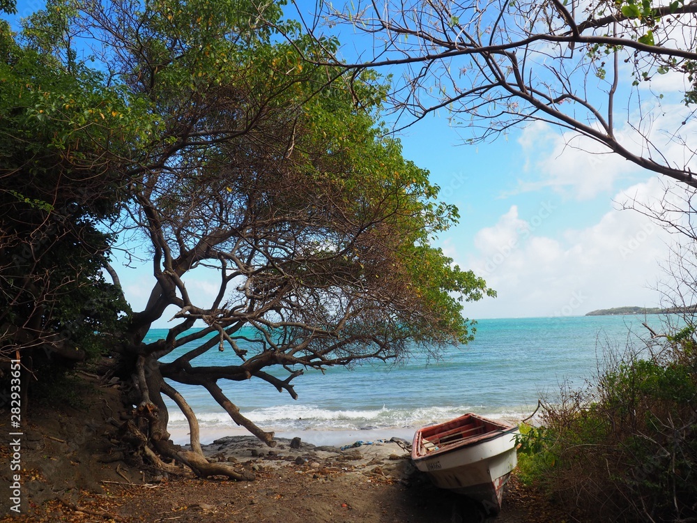 old wooden boat on the sea Martinique old wooden boat on the sea Martinique